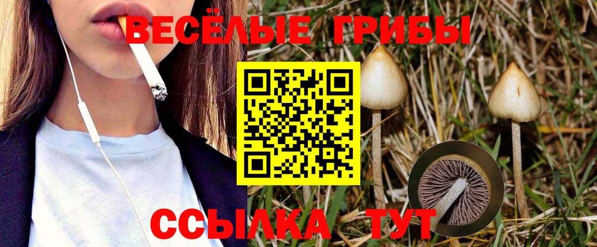 Галлюциногенные грибы мухоморы  Галлюциногенные грибы Magic Shrooms  Вход с VPN  Ишимбай 