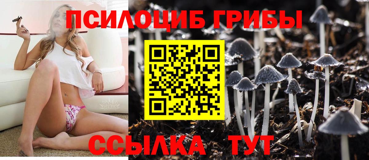 Галлюциногенные грибы мицелий Ишимбай